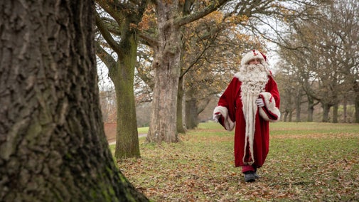 Father Christmas strolls down an avenue of autumnal trees